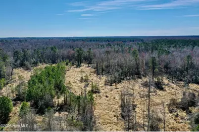 0 Near 2034 Haynes Len Highway, Cerro Gordo, NC 28430 - Photo 4