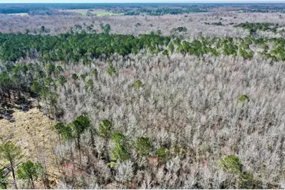 0 Near 2034 Haynes Len Highway, Cerro Gordo, NC 28430 - Photo 8
