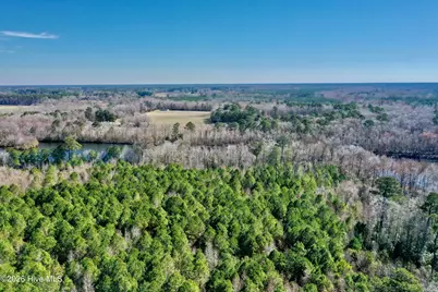 0 Near 2034 Haynes Len Highway, Cerro Gordo, NC 28430 - Photo 1