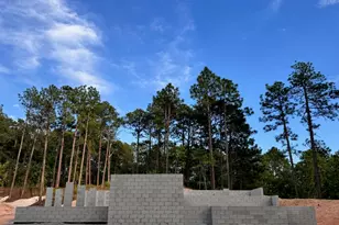 132 Owens Cir, West End, NC 27376 - Photo 6