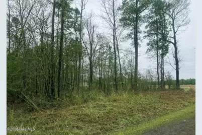 Lots 35-36 Choctaw Trail, Hertford, NC 27944 - Photo 1