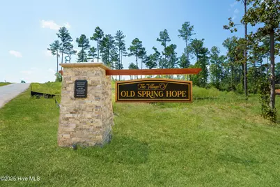 Lot 32H River Meadow Court, Spring Hope, NC 27882 - Photo 4