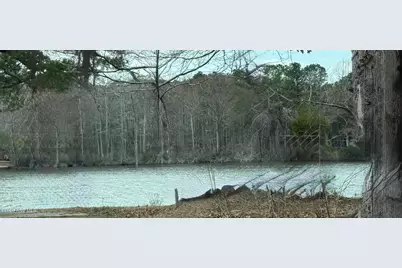 269 Creek Road, Bath, NC 27808 - Photo 22