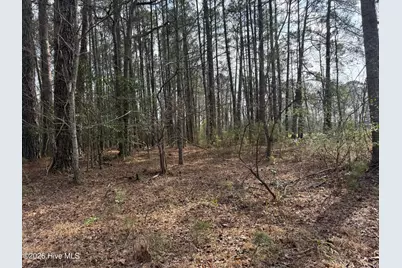 269 Creek Road, Bath, NC 27808 - Photo 8
