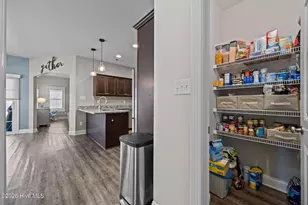 878 Stormy Gale Ln, Sneads Ferry, NC 28460 - Photo 14