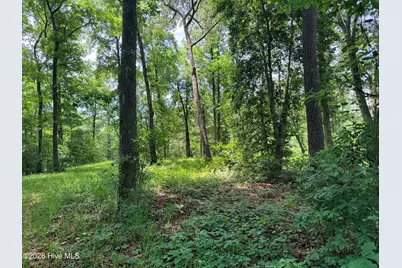 3695 River Park Way NE, Leland, NC 28451 - Photo 2