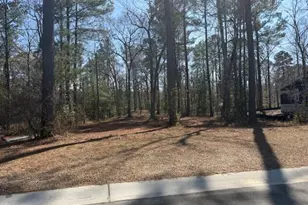 3695 River Pk Wy NE, Leland, NC 28451 - Photo 1