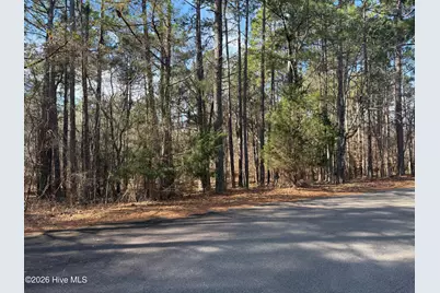 145 Millstone Court, West End, NC 27376 - Photo 2