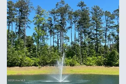 1578 E White Egret Lane NE #Lot 731, Bolivia, NC 28422 - Photo 30