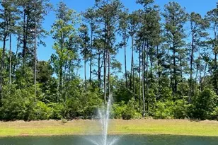 1578 E White Egret Ln NE, Bolivia, NC 28422 - Photo 30