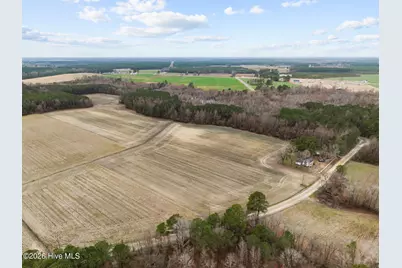 0 Whichard Cherry Ln Rd Road, Stokes, NC 27884 - Photo 4