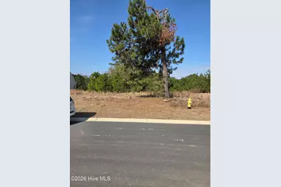 7439 Donegal Circle SW, Sunset Beach, NC 28468 - Photo 6