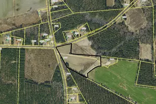 3777 Elkton Rd, Clarkton, NC 28433 - Photo 1