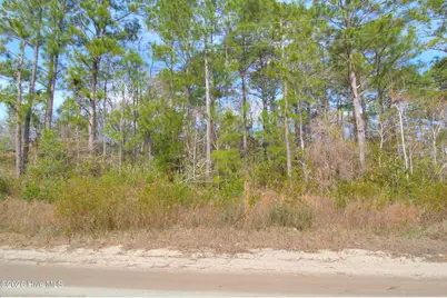 2890 Bird Drive SW, Shallotte, NC 28470 - Photo 2