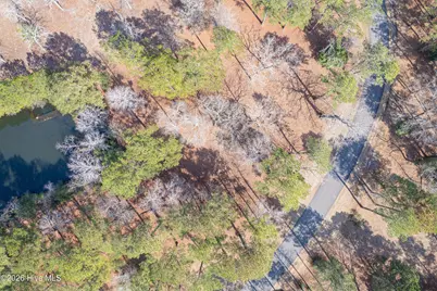 749 Loblolly Drive SW, Shallotte, NC 28470 - Photo 4