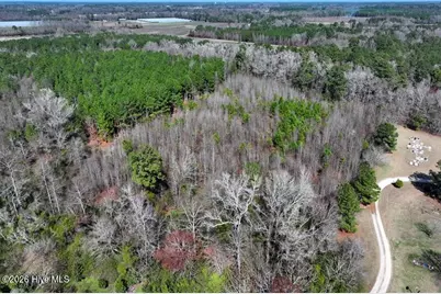 8.3 Acres Glory Light Road, Fairmont, NC 28340 - Photo 1
