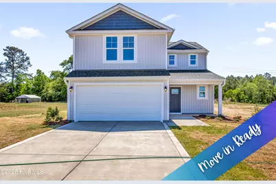 285 Buggy Top Lane, Autryville, NC 28318 - Photo 1