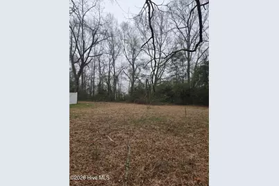Tbd S Caroline, Rockingham, NC 28379 - Photo 6