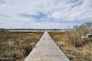 161 Big Hammock Point Rd, Sneads Ferry, NC 28460 - Photo 44