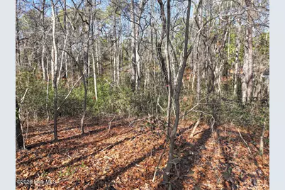 95 Bridle Path Circle, Pinehurst, NC 28374 - Photo 16