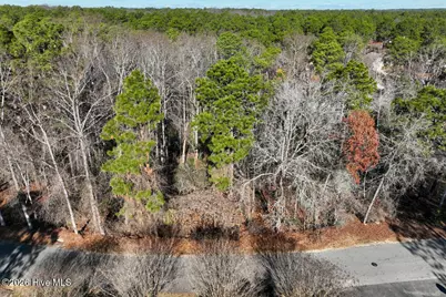 95 Bridle Path Circle, Pinehurst, NC 28374 - Photo 6