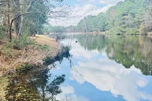 21 La Quinta Loop, Pinehurst, NC 28374 - Photo 48