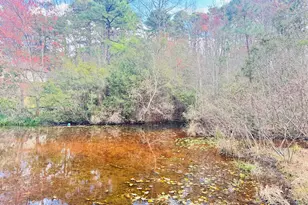 21 La Quinta Loop, Pinehurst, NC 28374 - Photo 50