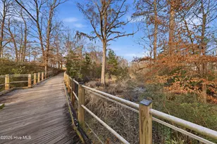 653 Jenoa Loop, Castle Hayne, NC 28429 - Photo 82