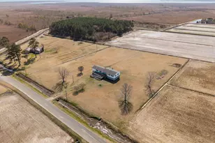 2575 White Plains Rd, Engelhard, NC 27824 - Photo 28