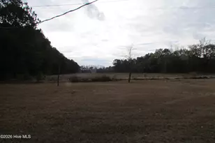 8401 Boykin Bridge Rd, Clinton, NC 28328 - Photo 6