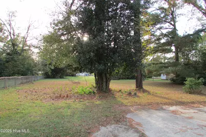 803 Mc Koy Street, Clinton, NC 28328 - Photo 4