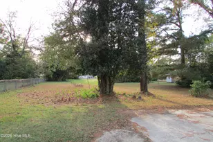 803 McKoy St, Clinton, NC 28328 - Photo 4