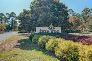753 S Horsepen Dr, Harrells, NC 28444 - Photo 62