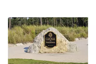 1105 Charlton Way, Leland, NC 28451 - Photo 54