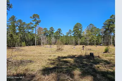 Lot 33 Bailey Pointe Drive, Belhaven, NC 27810 - Photo 10