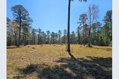 Lot 33 Bailey Pointe Drive, Belhaven, NC 27810 - Photo 8