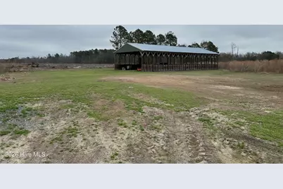 101 Big Biddy Lane, Clio, SC 29525 - Photo 12