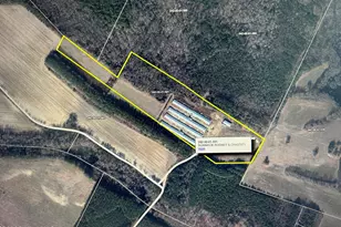 101 Big Biddy Ln, Clio, SC 29525 - Photo 1
