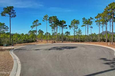 2696 Yellow Poplar Path, Southport, NC 28461 - Photo 6