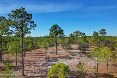 2696 Yellow Poplar Path, Southport, NC 28461 - Photo 14