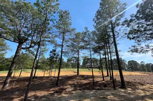 160 Westwood Rd, Pinehurst, NC 28374 - Photo 22
