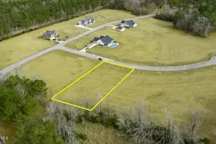 58 Davis Field Ct, Oriental, NC 28571 - Photo 1