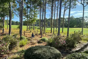 4567 Regency Crossing, Southport, NC 28461 - Photo 66