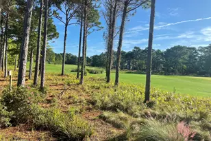 4567 Regency Crossing, Southport, NC 28461 - Photo 68