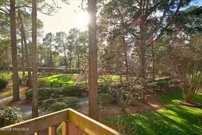 230 Old Dewberry Lane, Southern Pines, NC 28387 - Photo 42