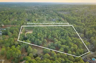 230 Old Dewberry Ln, Southern Pines, NC 28387 - Photo 84