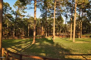 230 Old Dewberry Ln, Southern Pines, NC 28387 - Photo 92