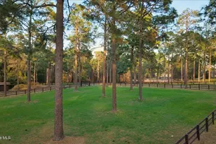 230 Old Dewberry Ln, Southern Pines, NC 28387 - Photo 94