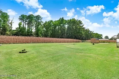 2912 W Nc Highway 55, Mount Olive, NC 28365 - Photo 30