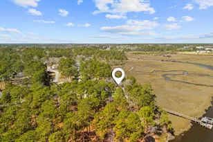 689 Lightwood Ln SW, Shallotte, NC 28470 - Photo 48